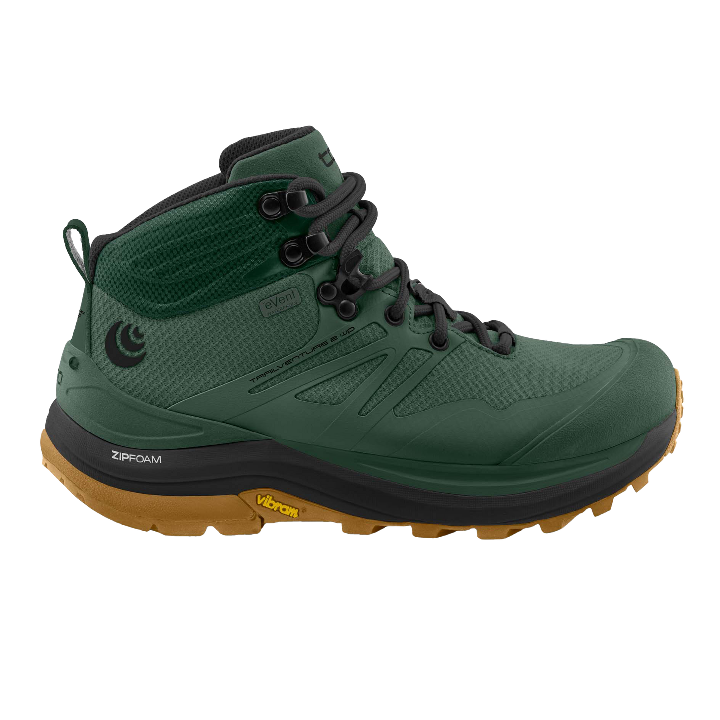 Dark Green / Clay