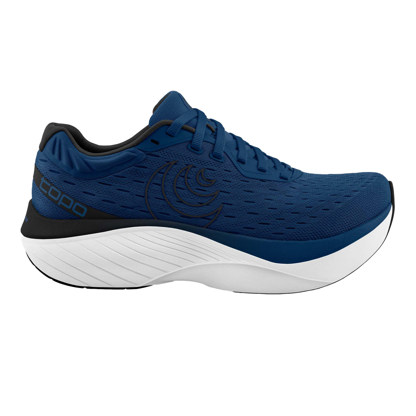 Navy / White