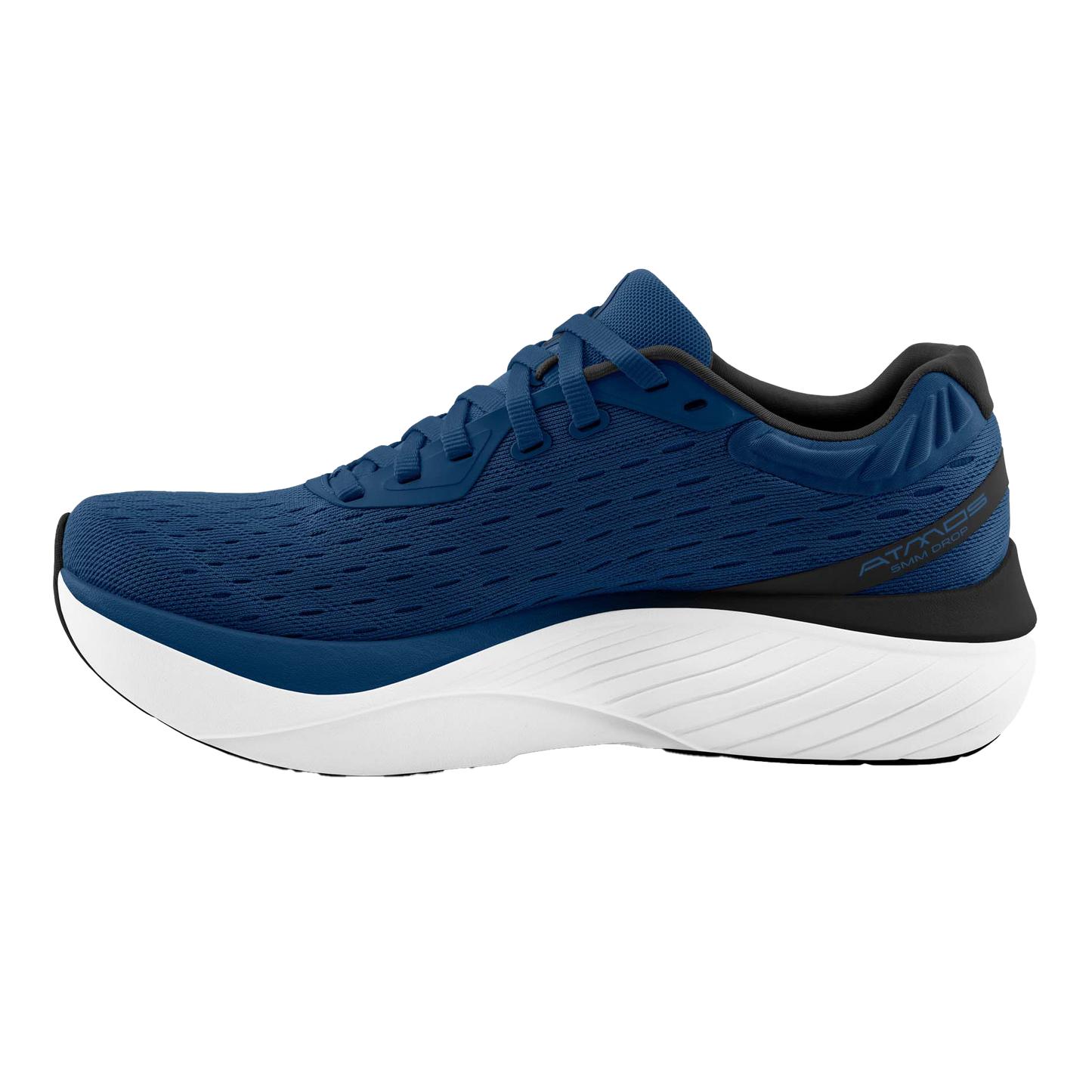 Navy / White