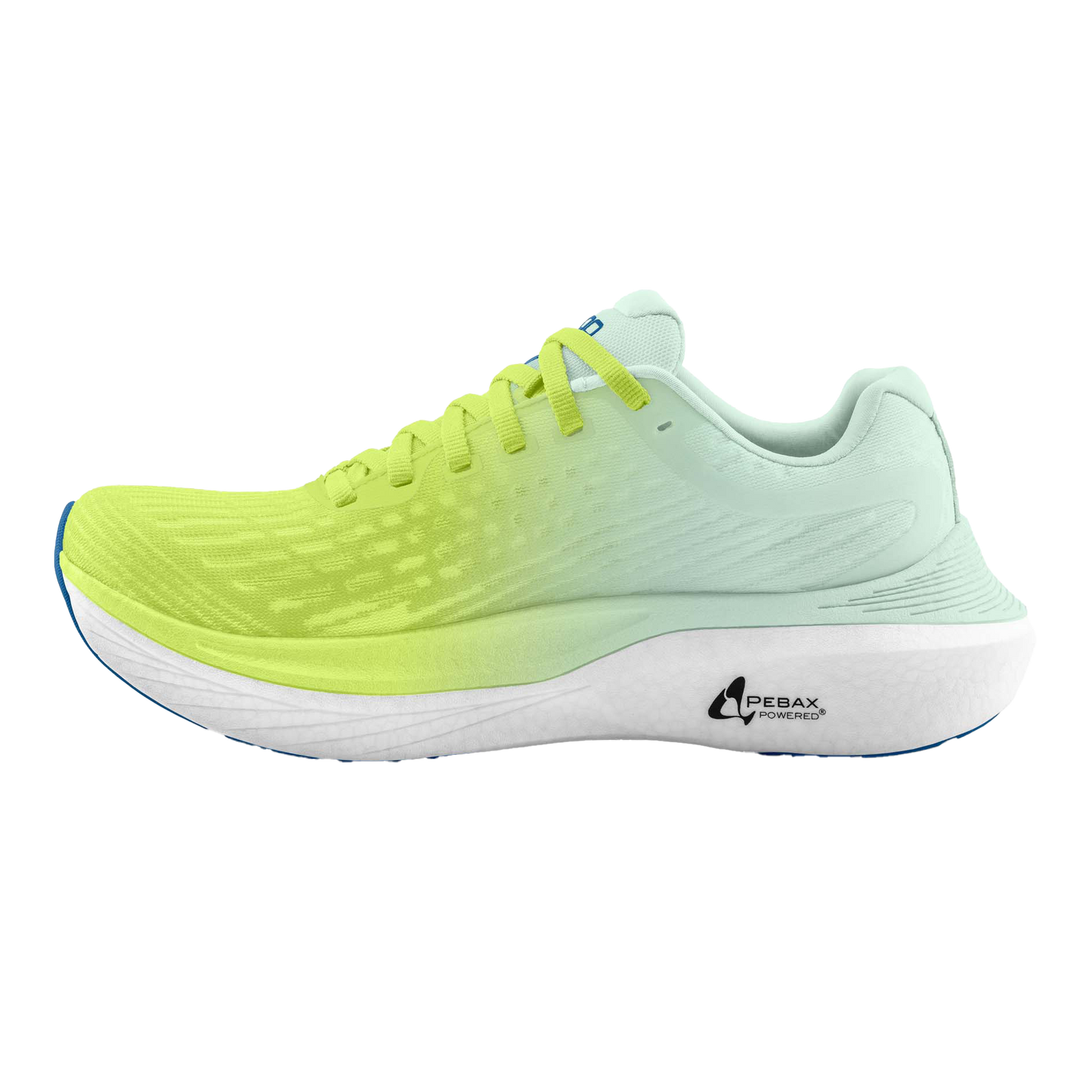 Green / Blue