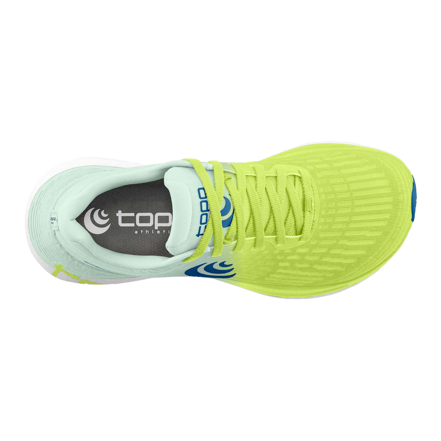 Green / Blue