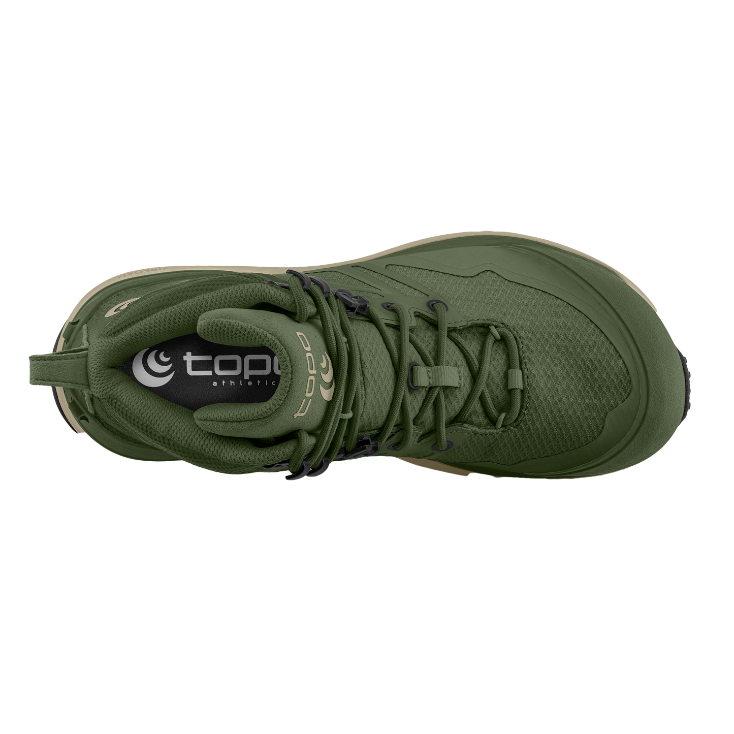 Olive / Tan