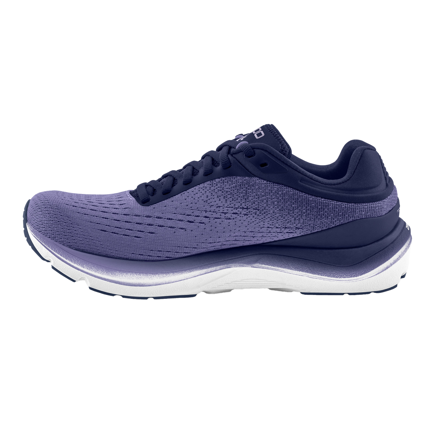 Purple / Lilac