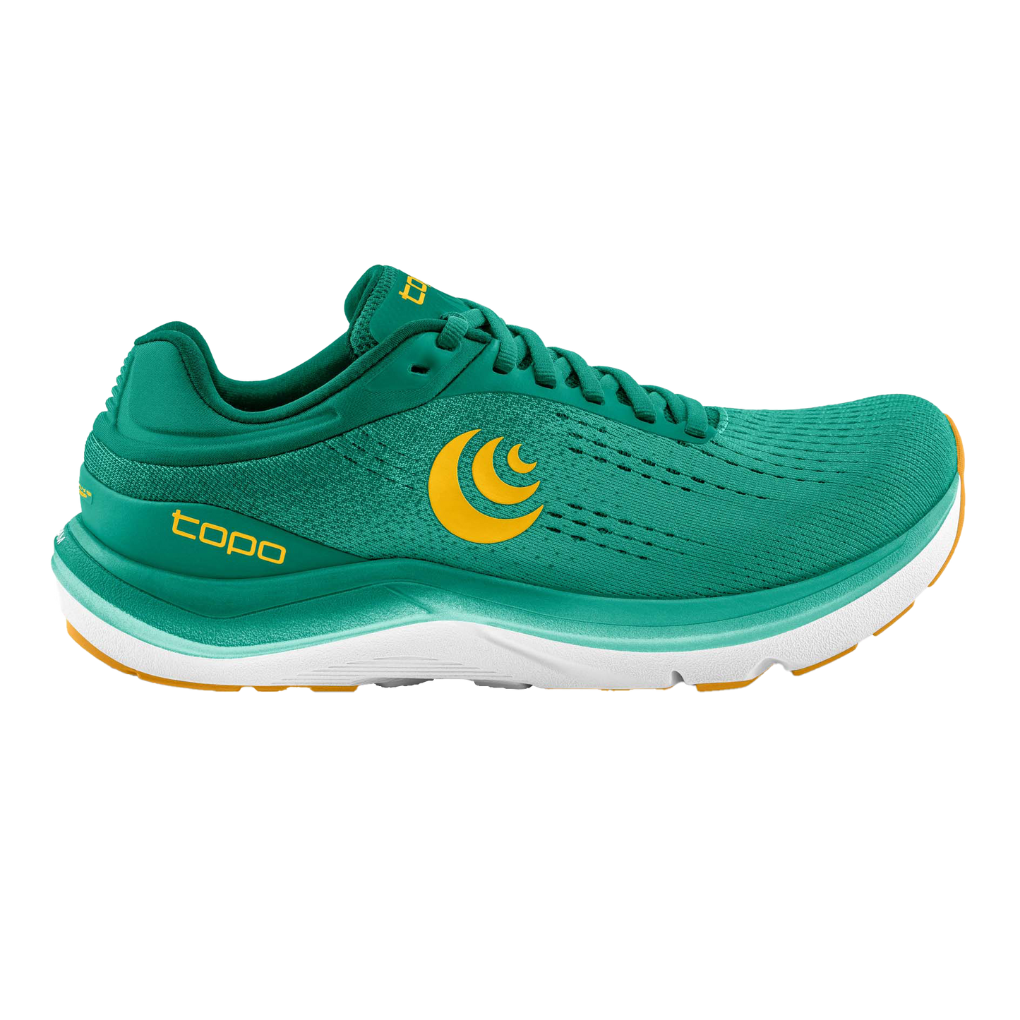 Teal / Gold