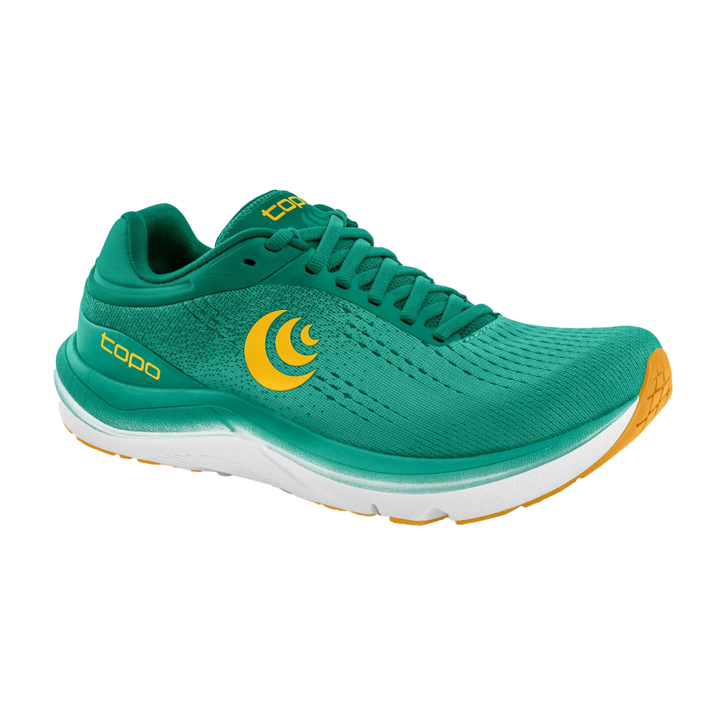 Teal / Gold