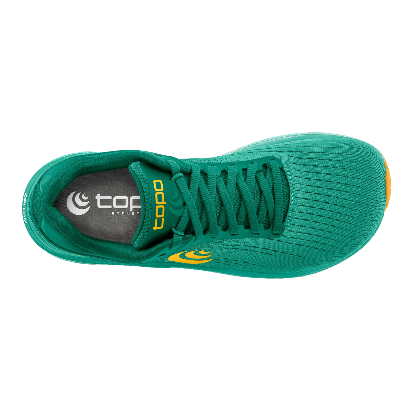 Teal / Gold