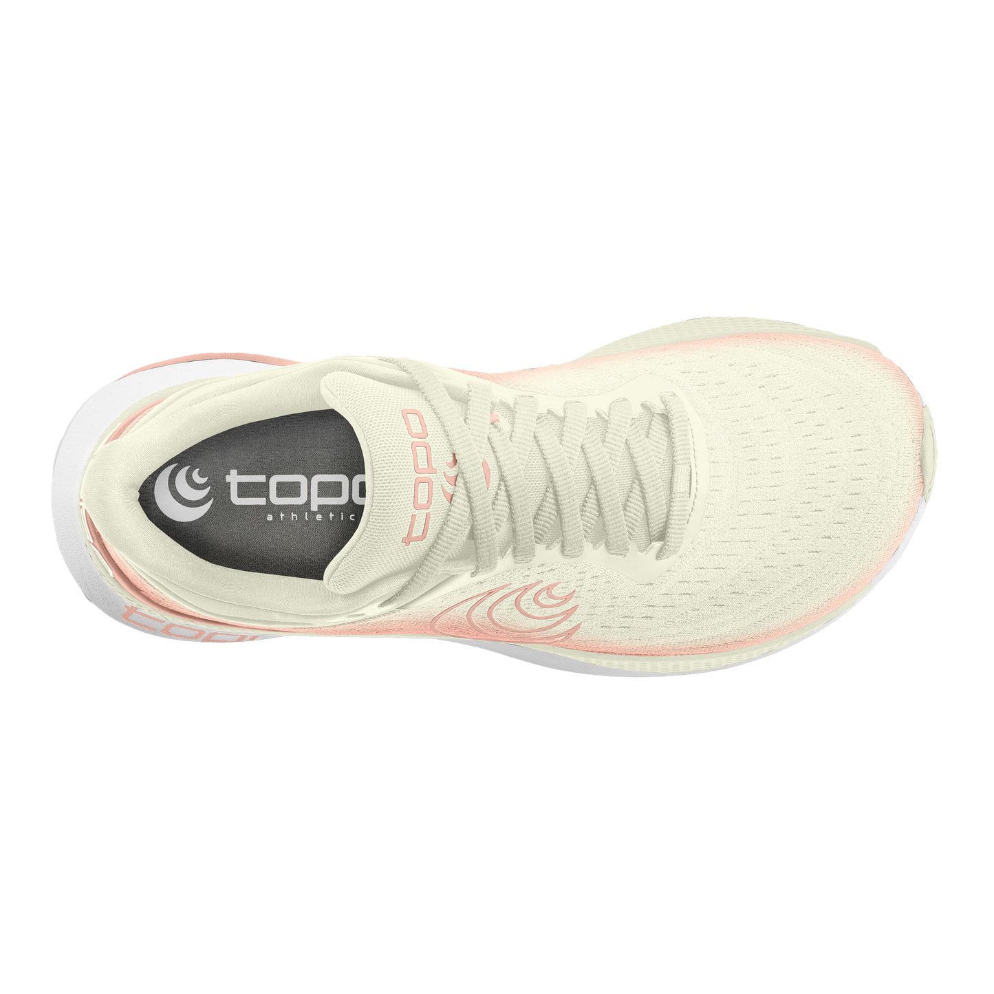Cream / Rose