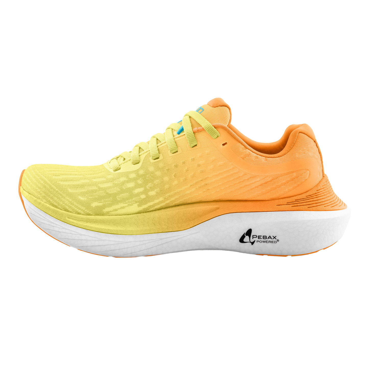 Orange /Blue