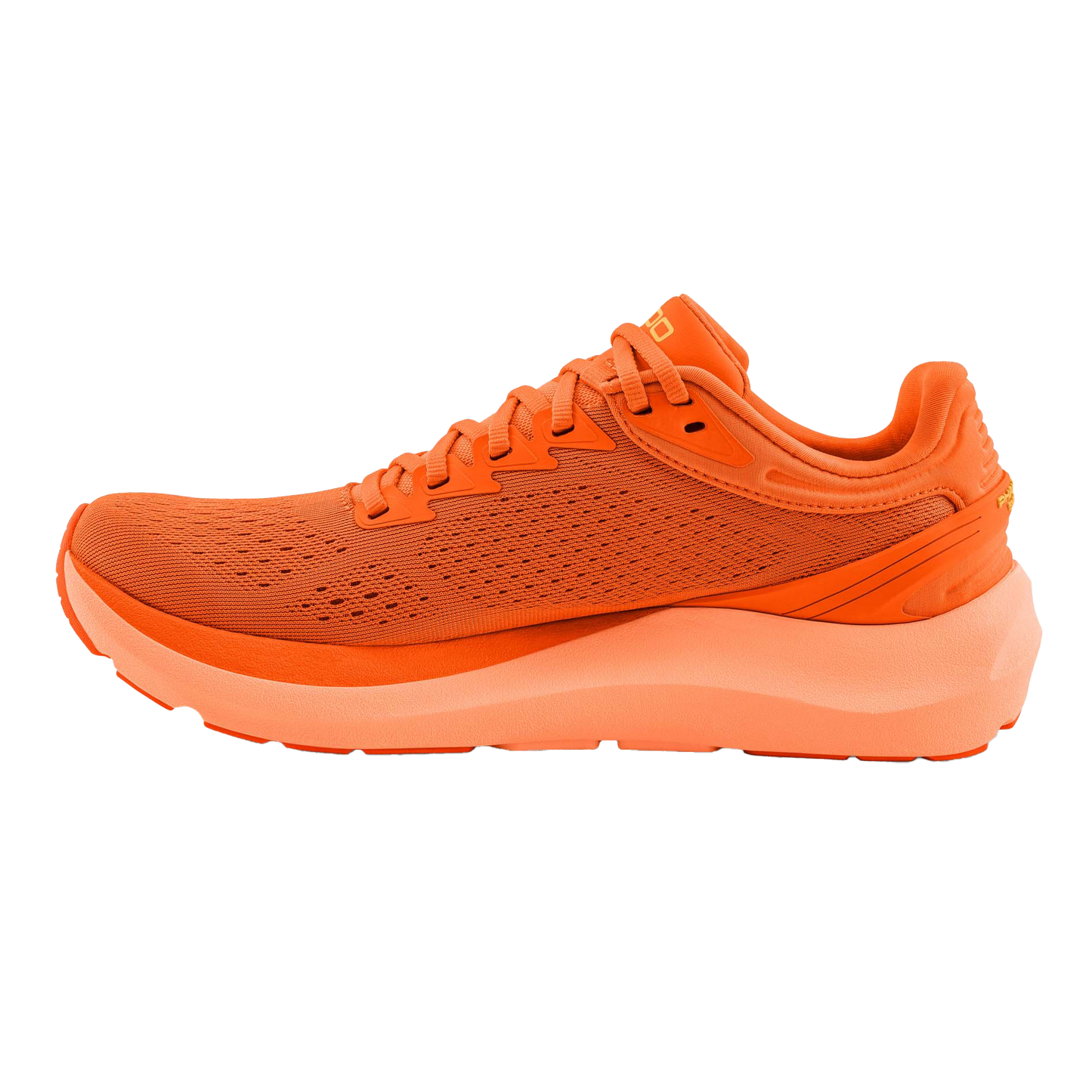 Orange / Yellow
