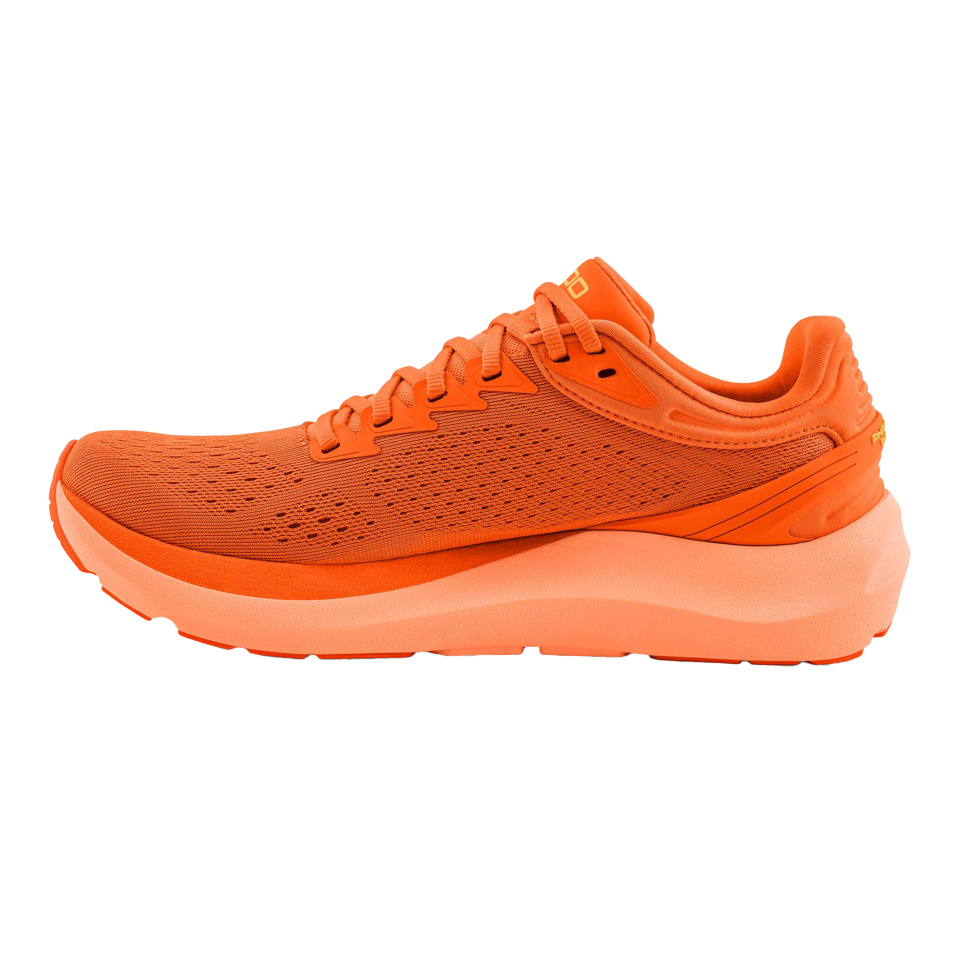 Orange / Yellow