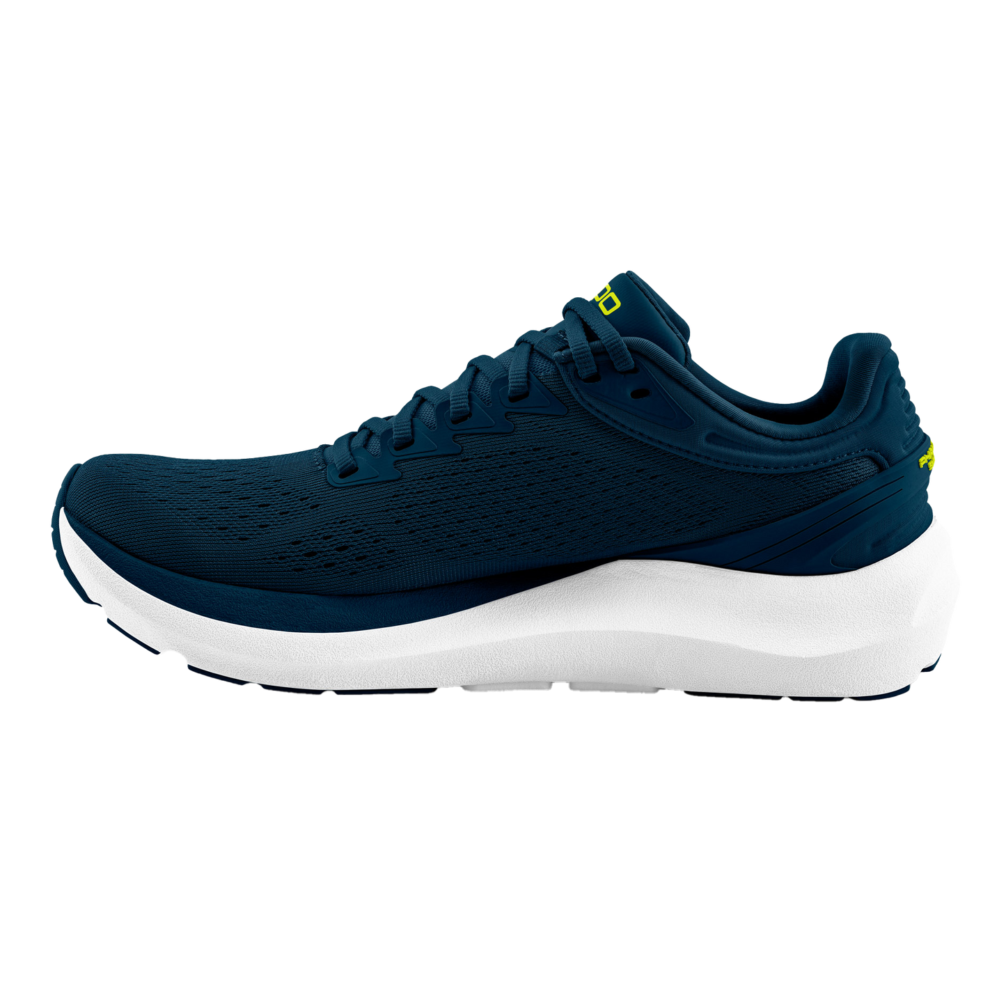Navy / Lime