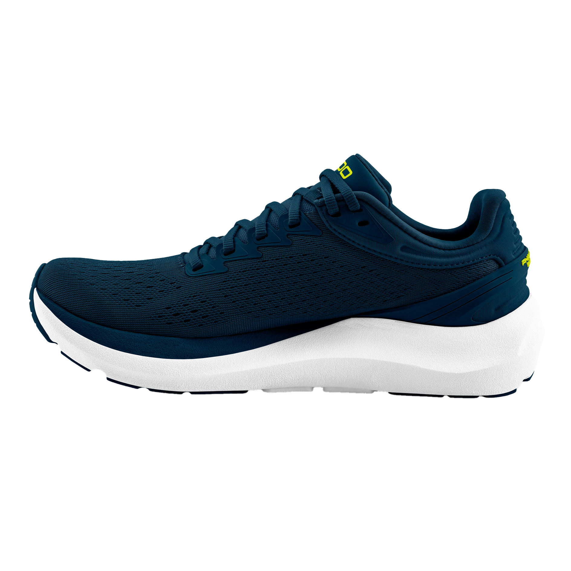 Navy / Lime