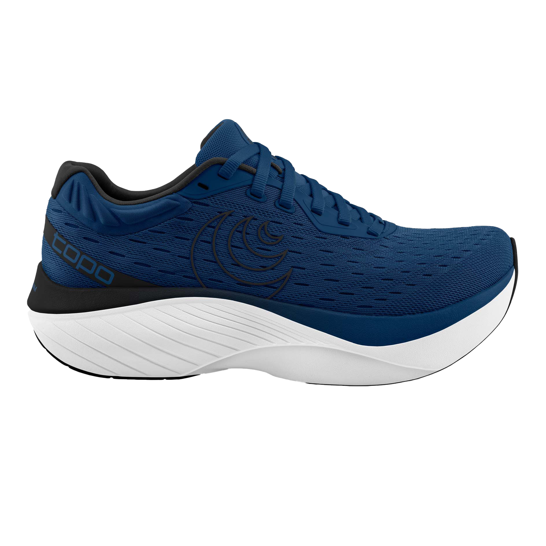 Navy / White