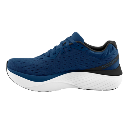Navy / White