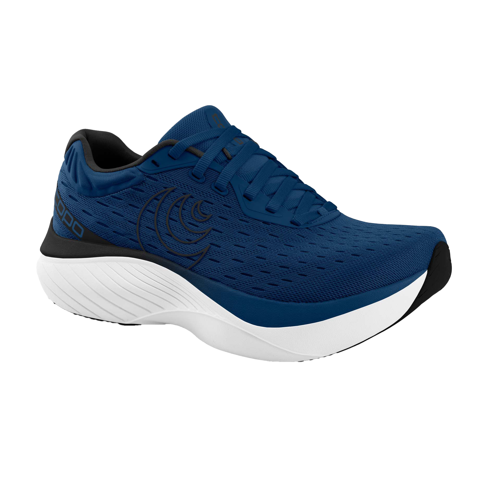 Navy / White
