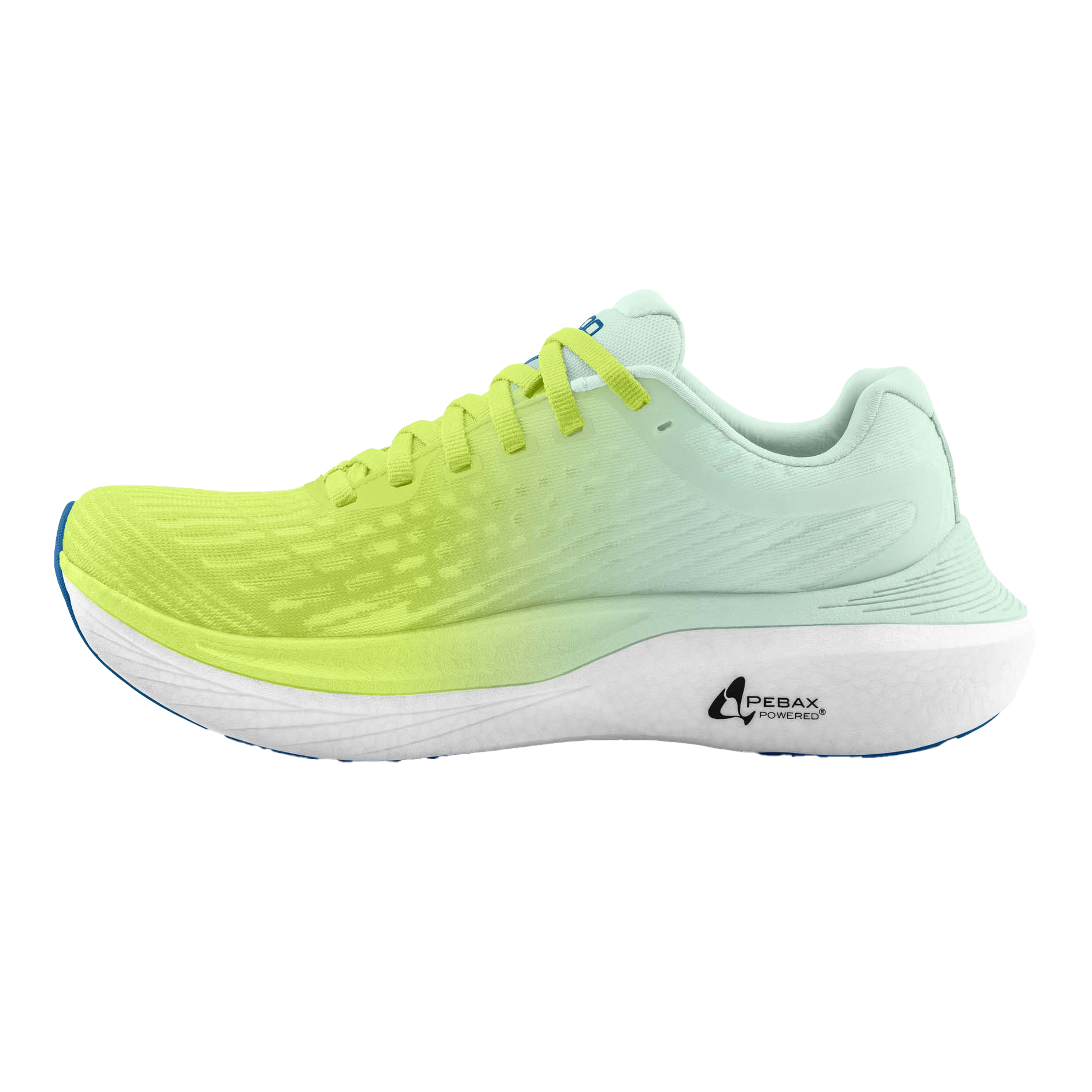 Green / Blue
