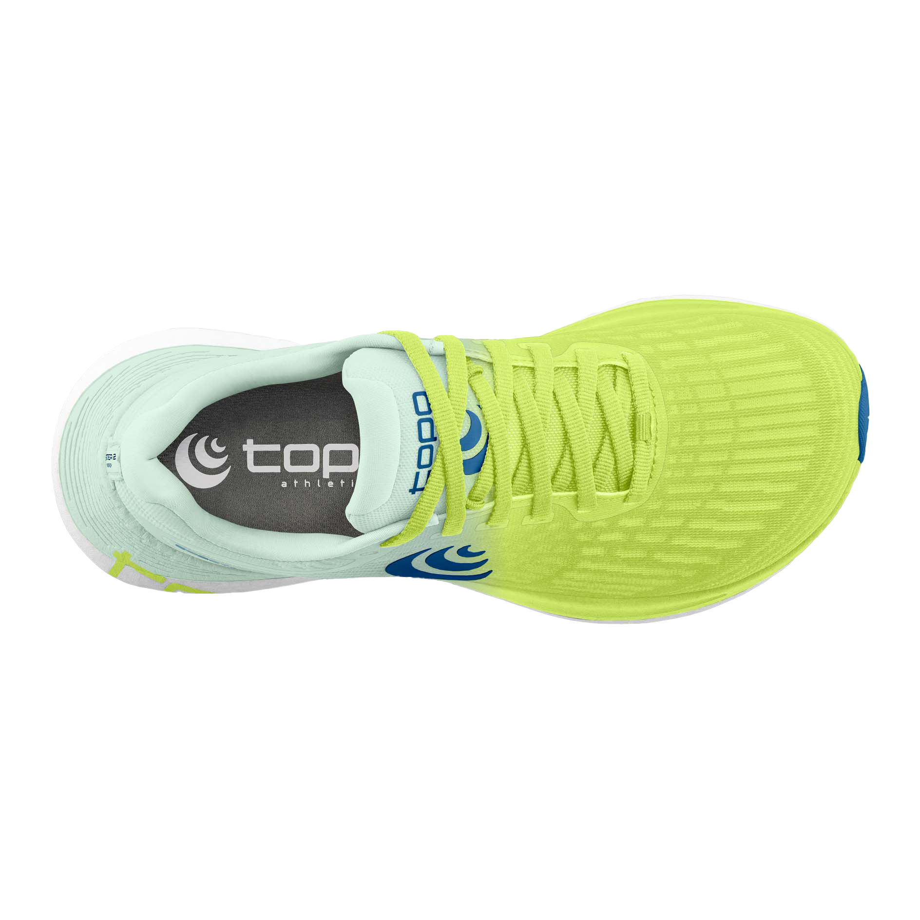 Green / Blue