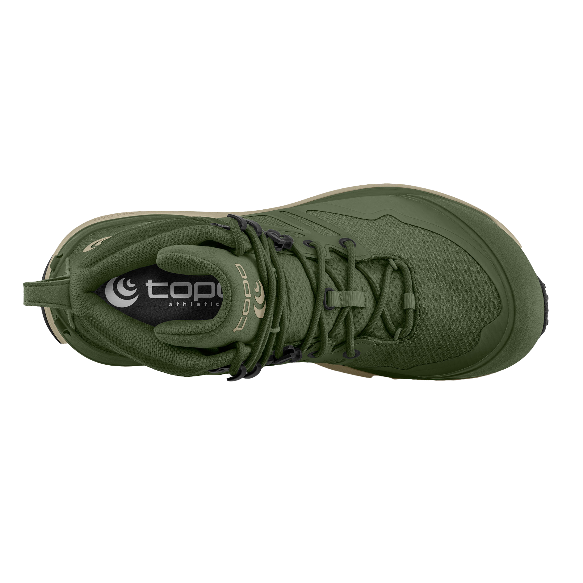 Olive / Tan