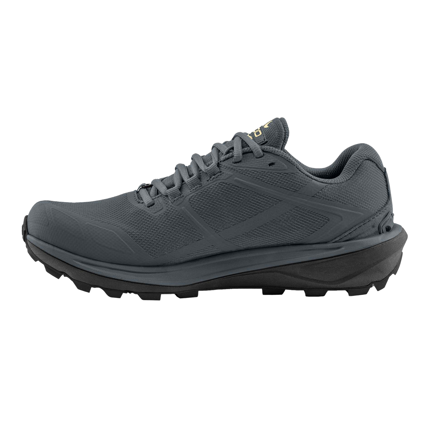 Gray / Butter