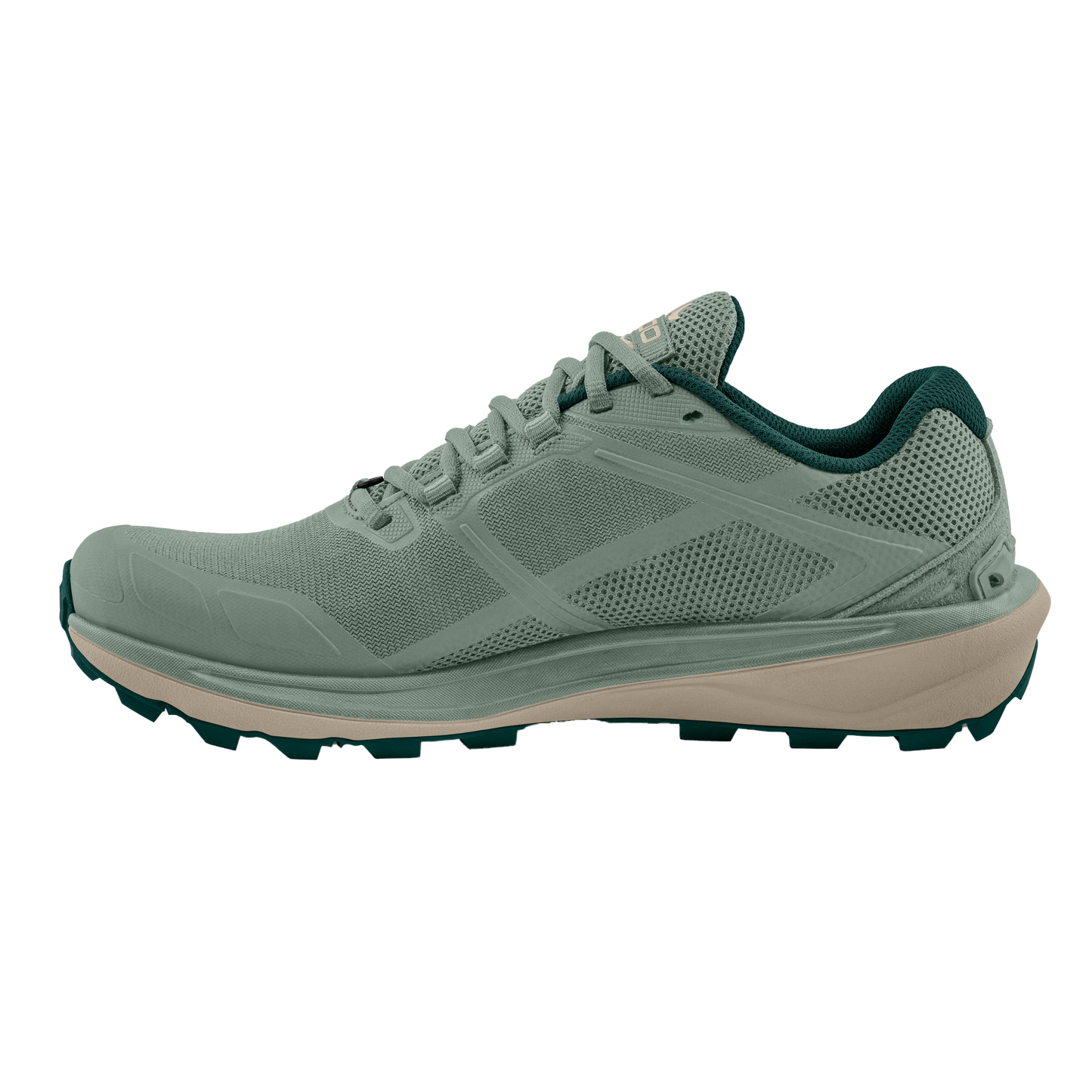 Sage / Tan