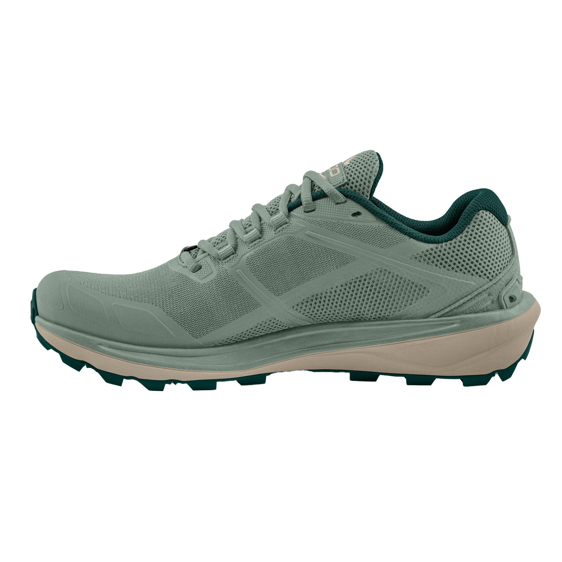 Sage / Tan