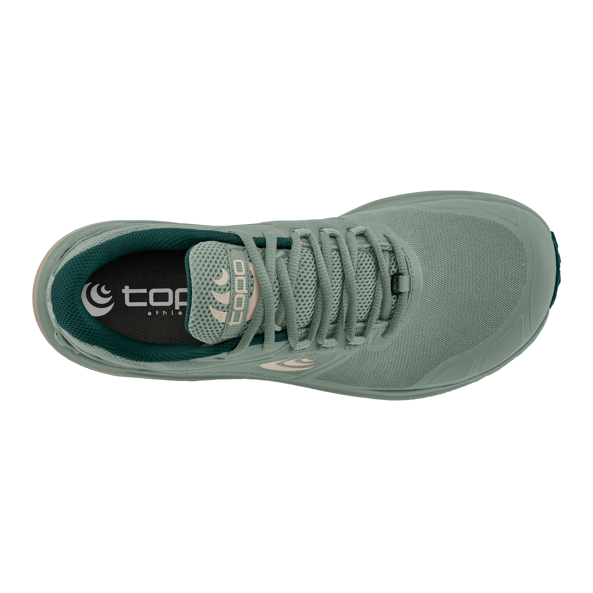 Sage / Tan