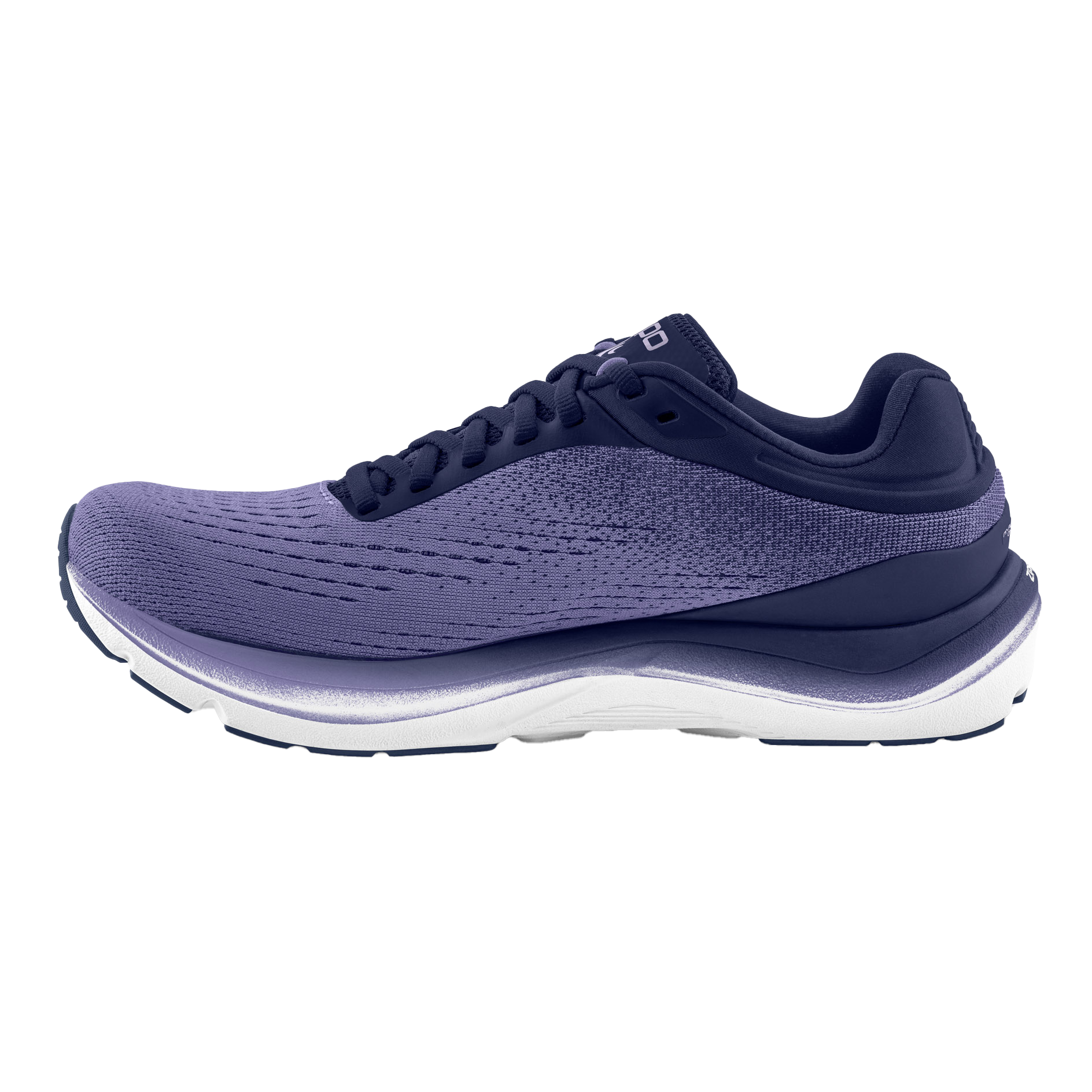 Purple / Lilac
