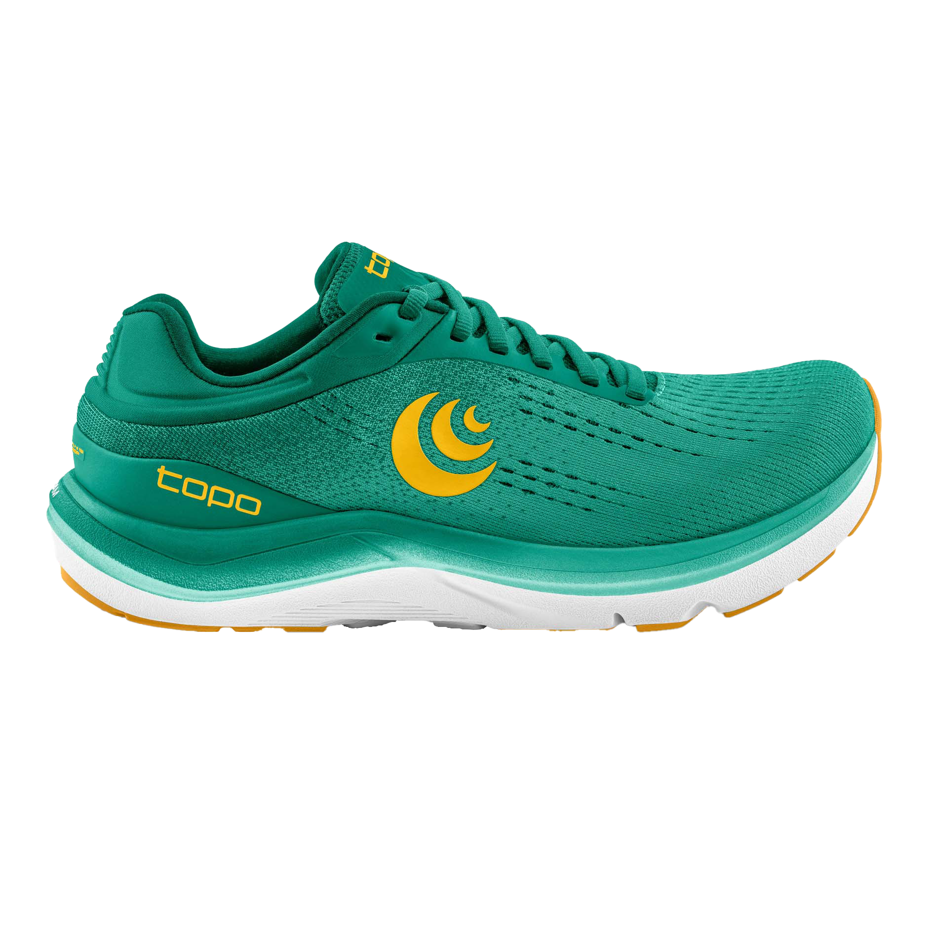 Teal / Gold