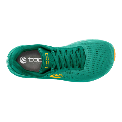 Teal / Gold