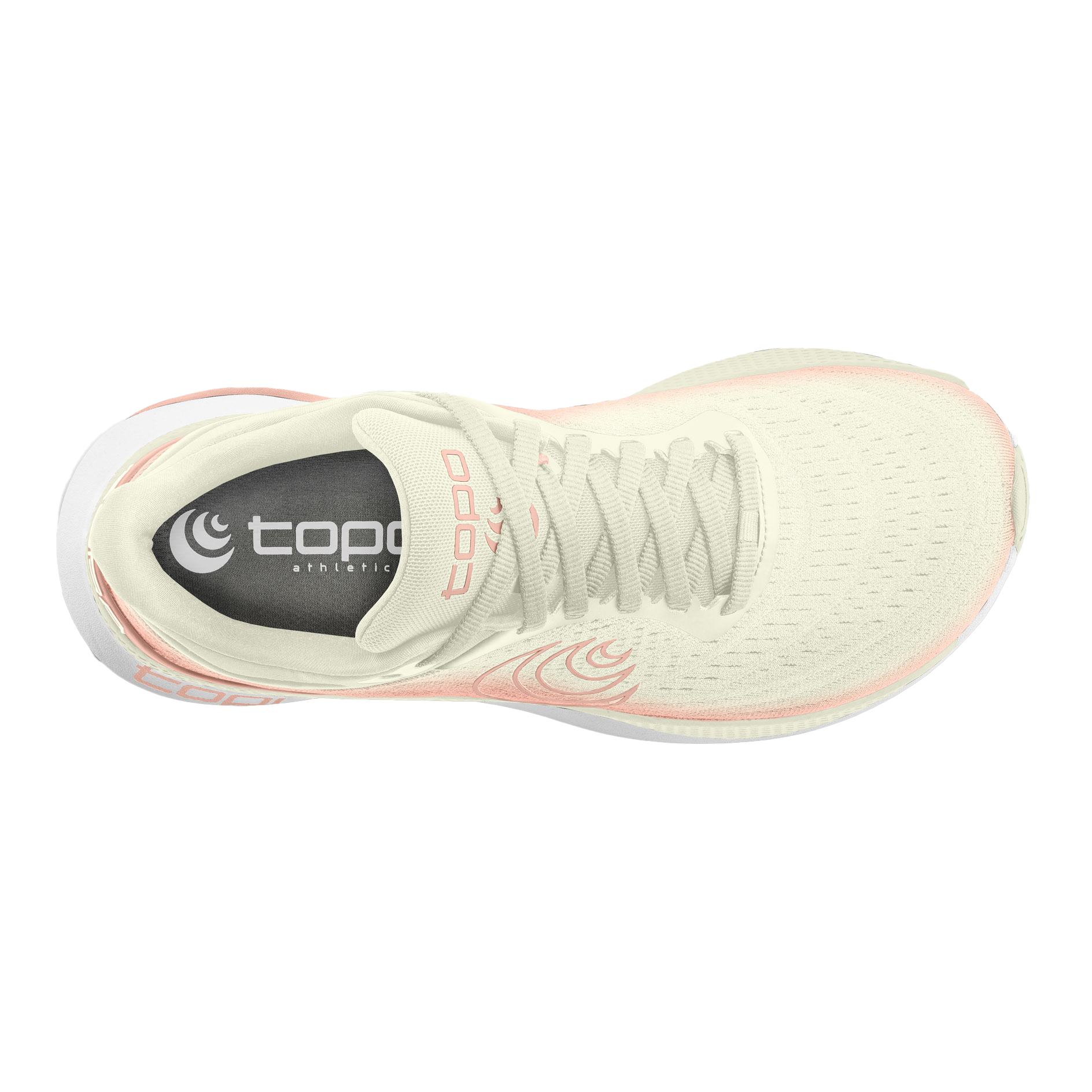 Cream / Rose