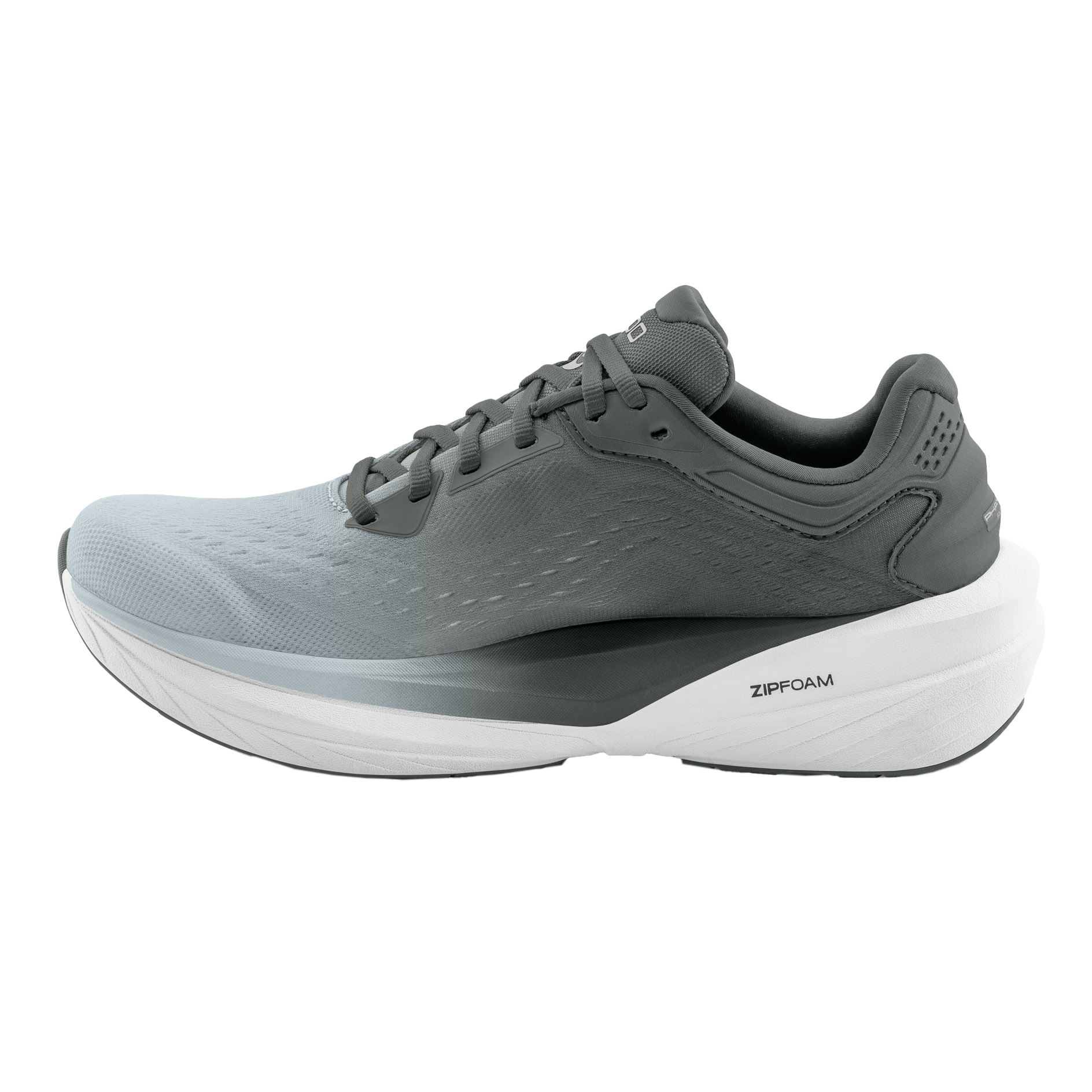 Gray / Gray