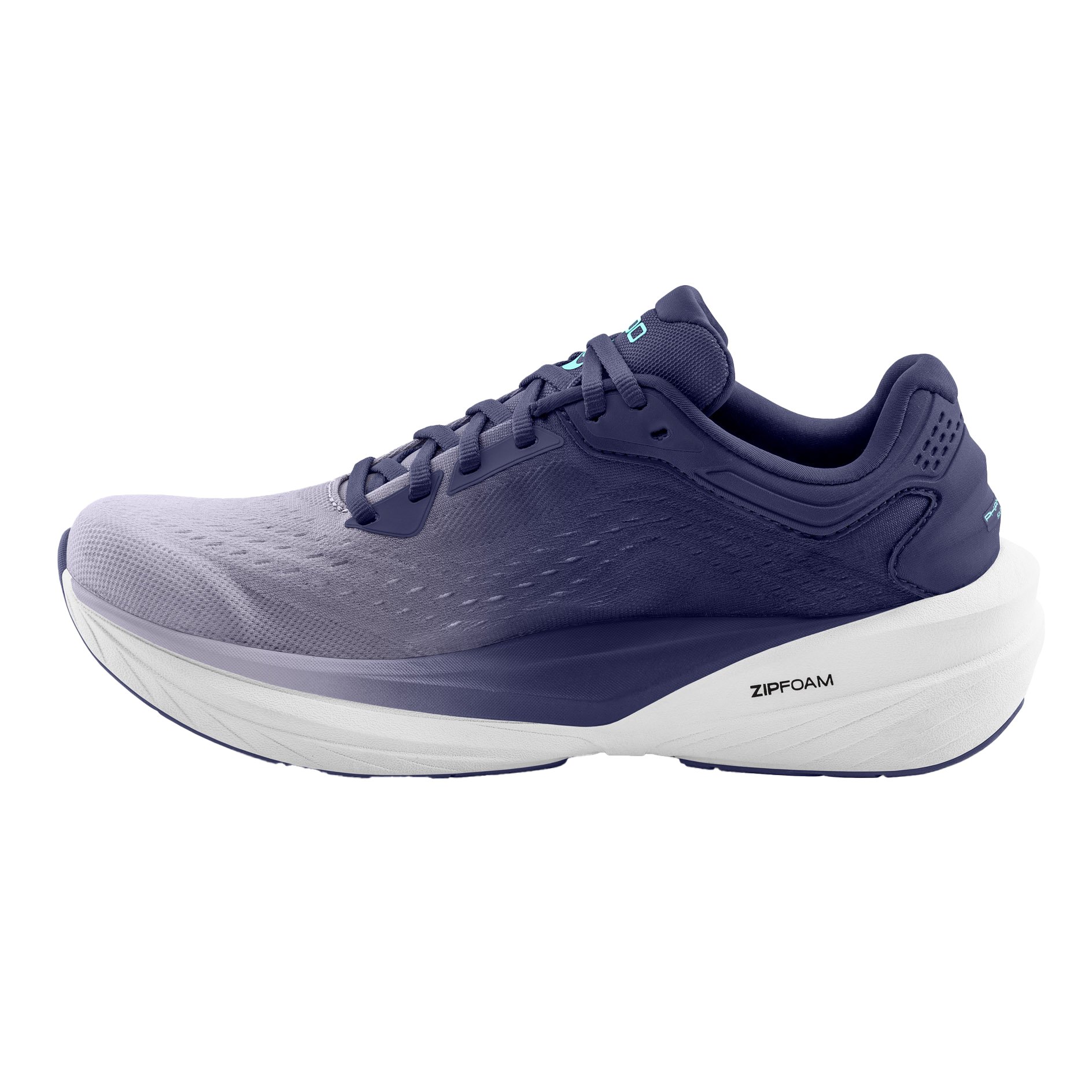 Purbple / Blue