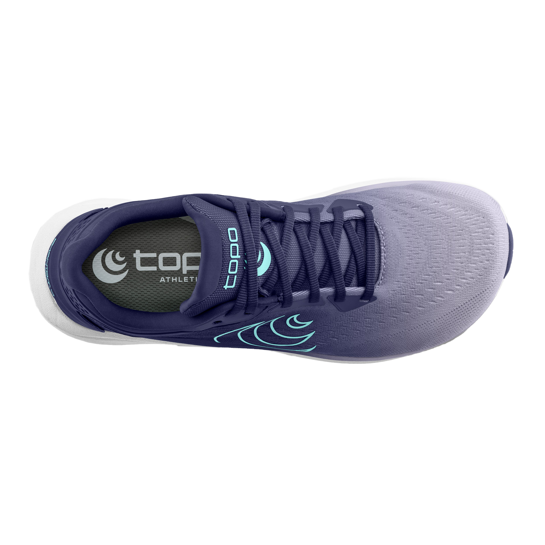 Purbple / Blue