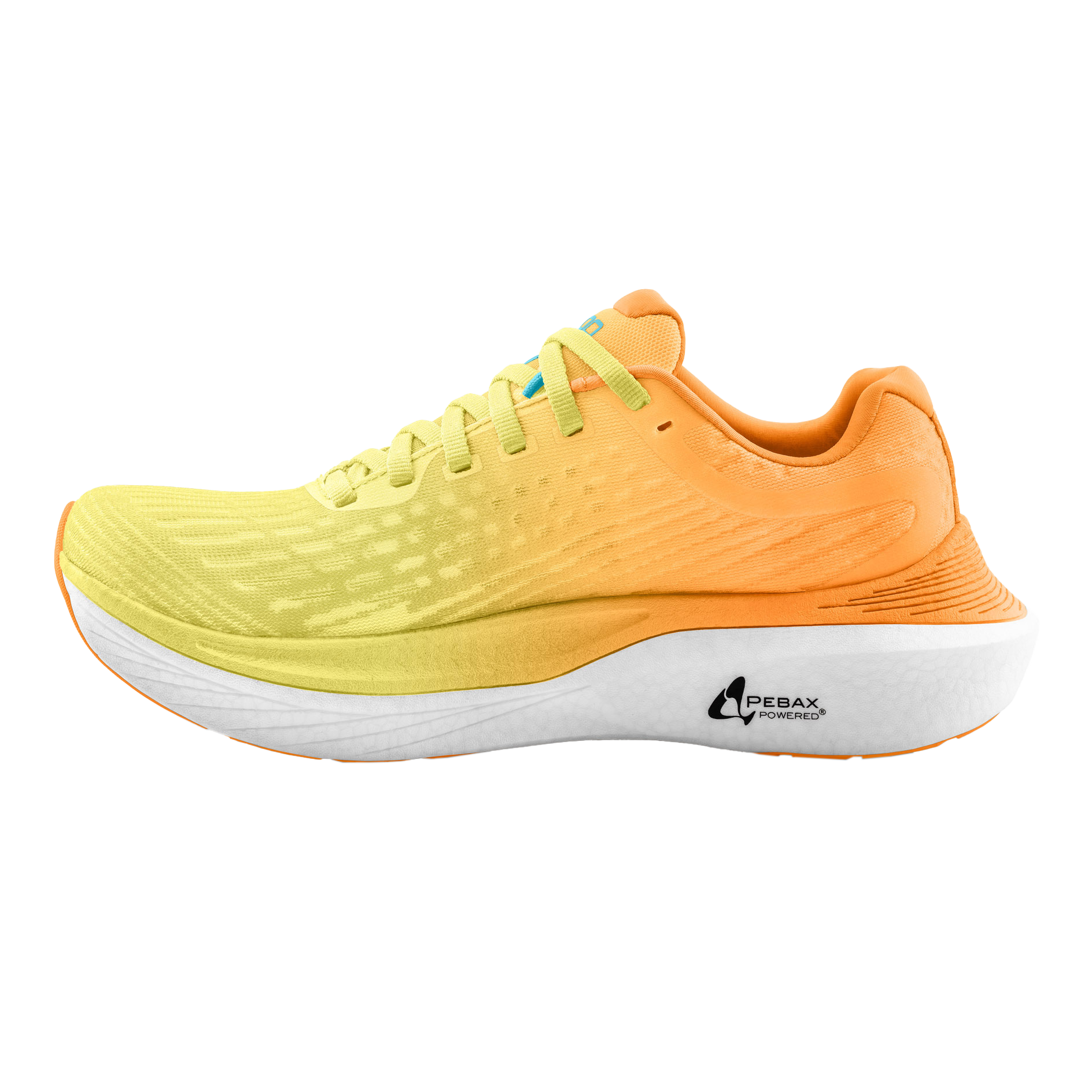 Orange /Blue
