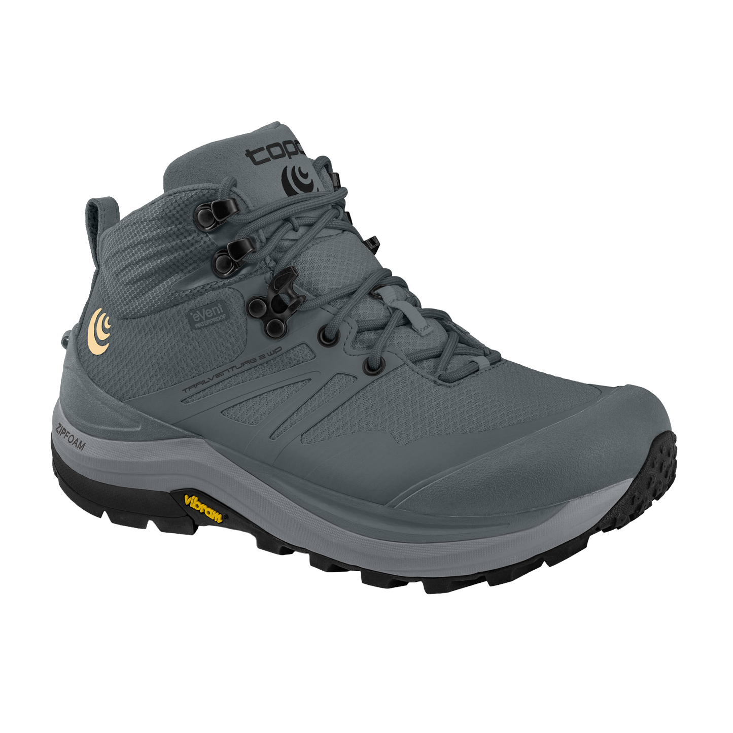 Gray / Gray