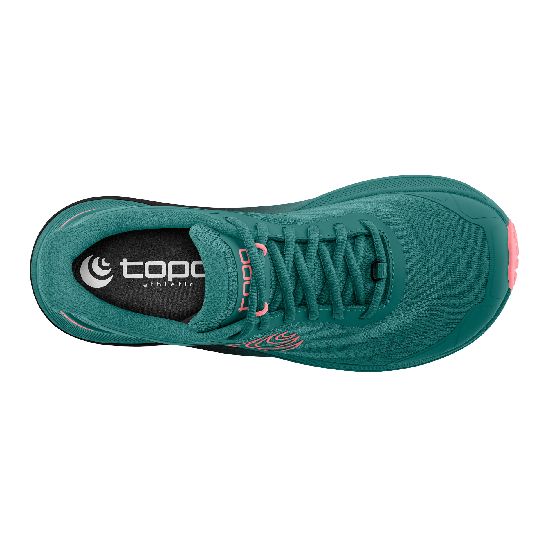 Dark Teal / Pink